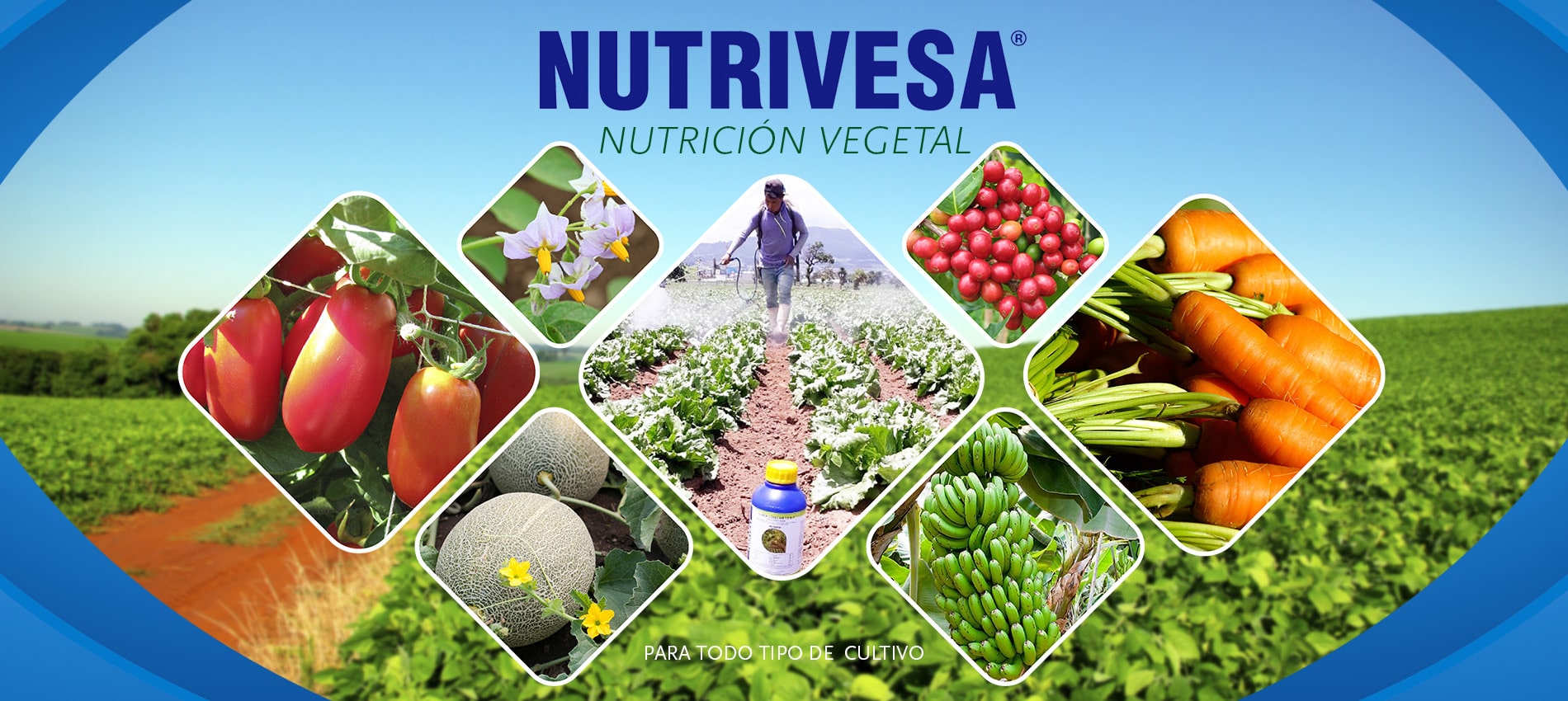 Nutrición Vegetal NUTRIVESA | Nutrivesa
